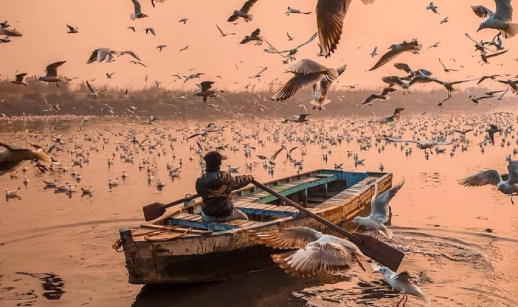 Φωτογραφία ημέρας: Good Morning from India with Birds - Beautiful Photography by @arijitadhikary_photography