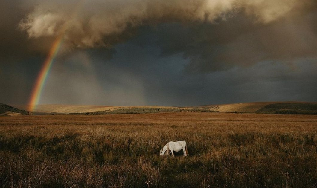 Φωτό ημέρας το κλικ του @withgar από την Ουαλία - Το άλογο και το ουράνιο τόξο 