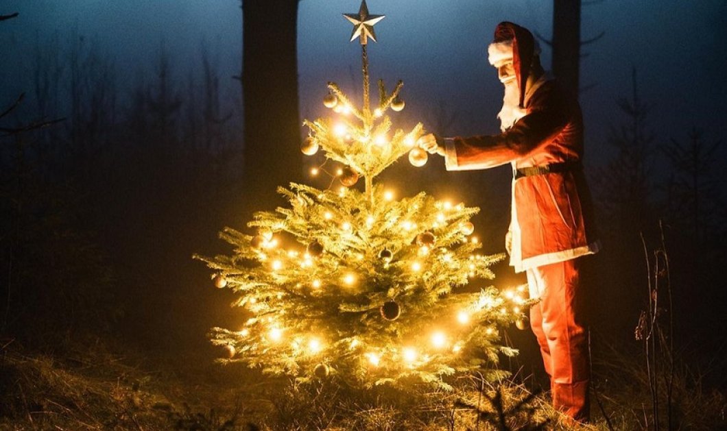 Ο Άγιος Βασίλης και το χριστουγεννιάτικο ελατάκι του - φωτό ημέρας από τον @tom_juenemann/@earth_deluxe