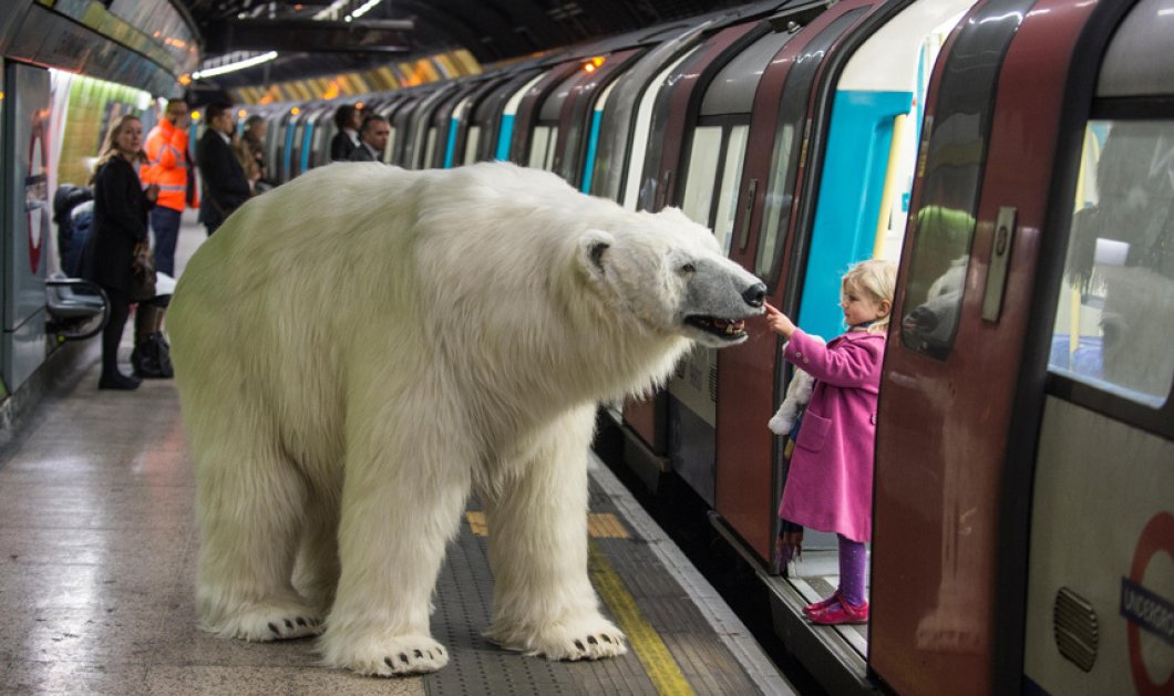 31/1/2015: Απίστευτο στιγμιότυπο στο μετρό του Λονδίνου - Πολική αρκούδα (από ανθρώπους) φέρνει βόλτες στα υπόγεια τούνελ! Picture: Daniel Lewis / Barcroft 