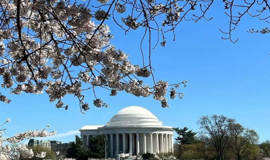 ωτό ημέρας οι ανθισμένες κερασιές στην Ουάσιγκτον - ένα υπερθέαμα με ιστορία @maria.contos