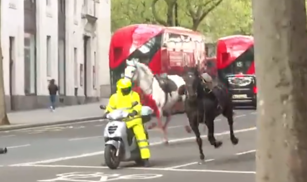 Δείτε βίντεο με άλογα να τρέχουν με αίματα στο κέντρο του Λονδίνου: Χτύπησαν οχήματα και πεζούς - 5 τραυματίες - Ξέφυγαν από τον στρατό 