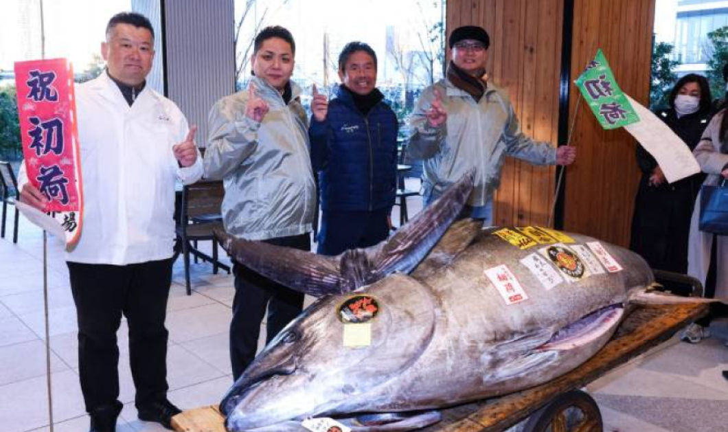 Τόκιο: Τόνος bluefin, 276 κιλών πουλήθηκε στην τιμή του 1,3 εκατ. δολαρίων - Η δεύτερη υψηλότερη στην αγορά Toyosu (φωτό & βίντεο)