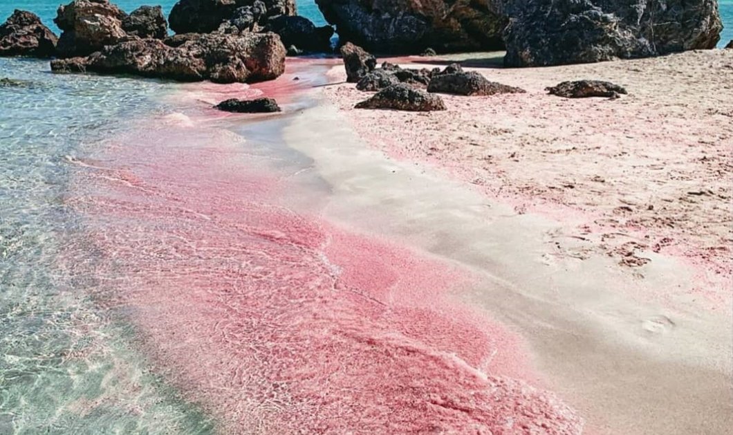 Φωτό ημέρας: Σαν ζωγραφιά το Ελαφονήσι - Τιρκουάζ νερά και μαγευτική ροζ άμμος/ Photo: Instagram - @divineingreece