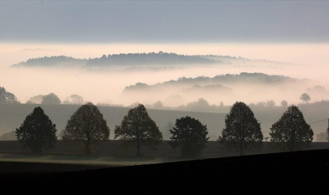 Ομίχλη καλύπτει δεντροστοιχία σε χωράφι στο Μεκλεμβούργο - Δυτική Πομερανία​ - EPA / BERND WUESTNECK