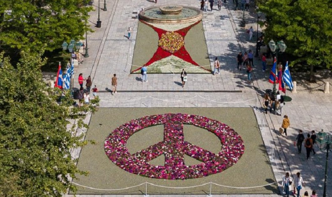 Φωτό ημέρας: 13.600 λουλούδια σχηματίζουν το σήμα της Ειρήνης στην πλατεία Συντάγματος - Καλό μήνα!