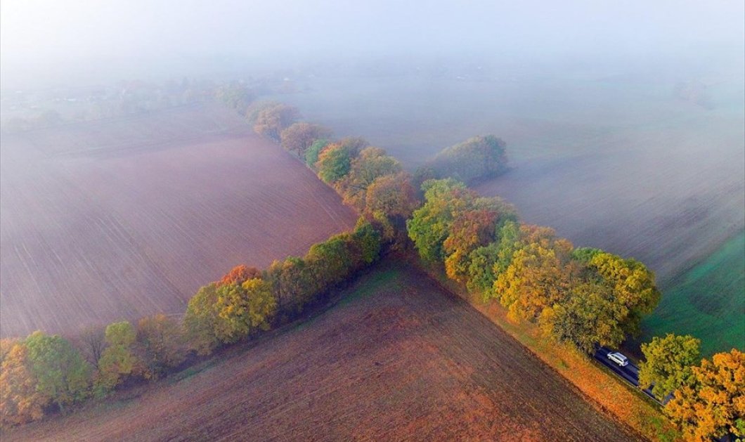 Φθινοπωρινή φωτό από το Sieversdorf της Γερμανίας - EPA / PATRICK PLEUL