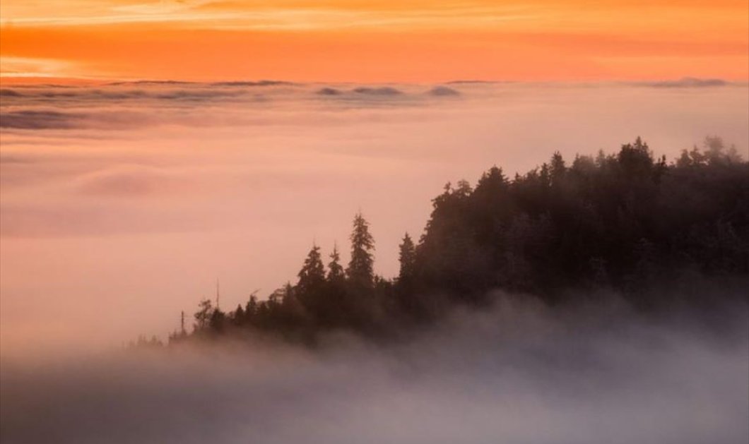 Ειδυλλιακό ηλιοβασίλεμα στην οροσειρά Τάουνους της Γερμανίας - EPA / FRANK RUMPENHORST