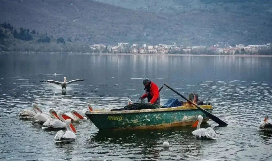 Φωτό ημέρας η λίμνη της Καστοριάς - Εκπληκτικό κλικ από @mariagogoulou