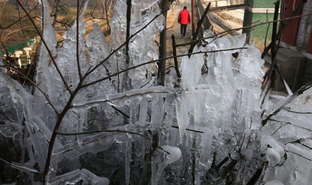 2/1/15: Πολικό ψύχος στο Κασμίρ - Ακόμα και τα κλαδιά καλύφθηκαν με πάγο! Η φωτό «μιλά» από μόνη της!