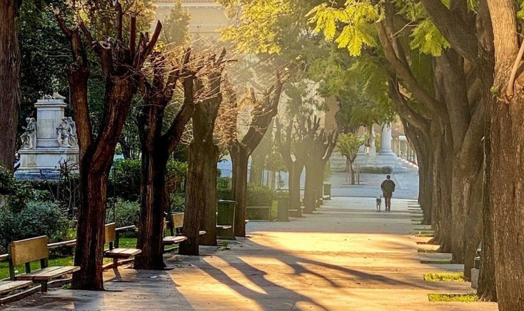 Φώτο ημέρας: Στην Αθήνα μυρίζει ήδη Άνοιξη/@katerinakatopis