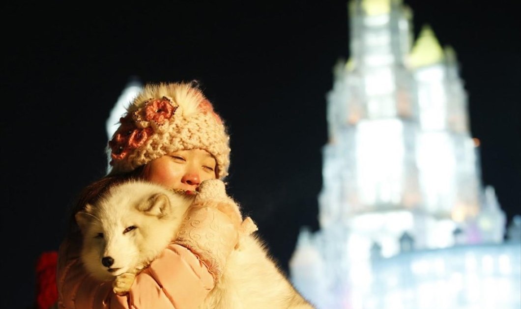 5/1/15 - Mια υπέροχη φωτογραφία με μια Κινεζούλα και ένα χαριτωμένο αρκουδάκι κατά τις προετοιμασίες για το Διεθνές Φεστιβάλ Πάγου και Χιονιού στο Χαρμπίν της Κίνας! REUTERS / KIM KYUNG-HOON