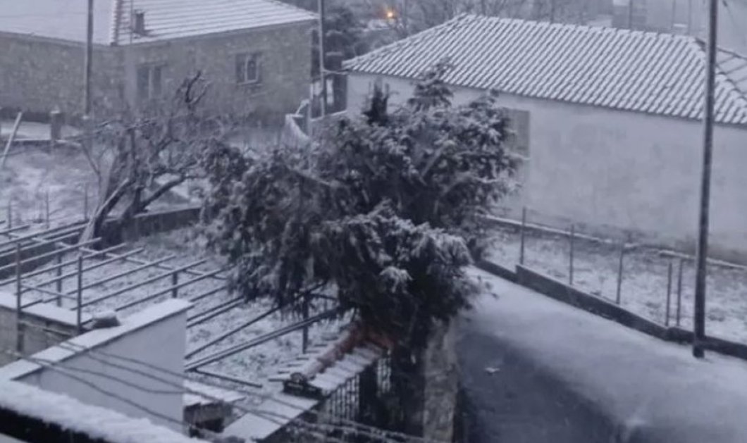 Φωτό ημέρας: Ξεκίνησε η χιονόπτωση στα χωριά της Λάρισας - onlarissa.gr