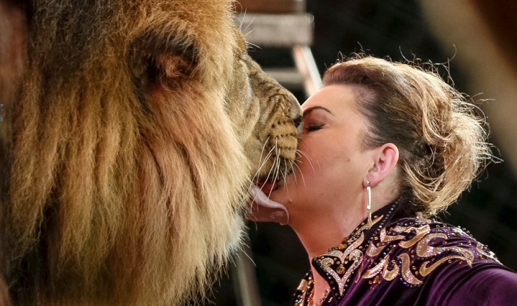 2/1/15: Αθεόφοβη εκπαιδεύτρια, δεν διστάζει να φιλήσει λιοντάρι στο στόμα! Θάρρος & αγάπη ή επιπολαιότητα;