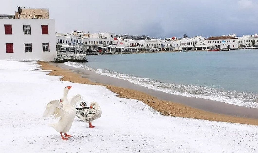 Φωτό ημέρας: Let it snow in Mykonos! Η «Ελπίς» έντυσε στα λευκά το νησί των ανέμων - @o_lofos
