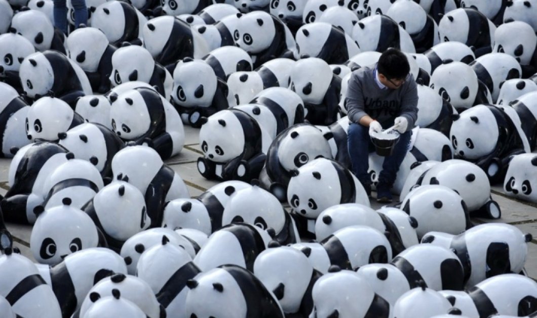 12/12/14 - Τα... Πάντα όλα! Ένας Κινέζος κυριολεκτικά χαμένος, ανάμεσα σε 1.600 γλυπτά των διάσημων ασπρόμαυρων θηλαστικών! Photo: Getty Images