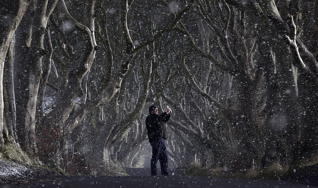 14/1/2015: Εντυπωσιακή φωτό στο ''τρομακτικό'' χιονισμένο δάσος Dark Hedges στην Β. Ιρλανδία - Picture: Charles McQuillan/Getty Images