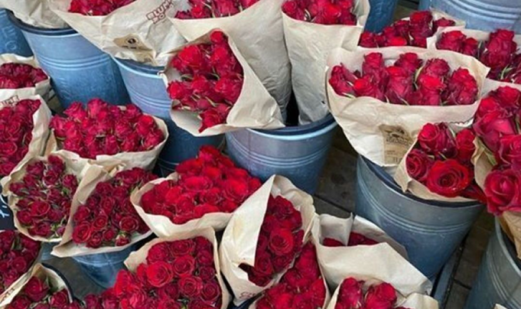 Φωτογραφία Ημέρας: Roses by fubiz (instagram)