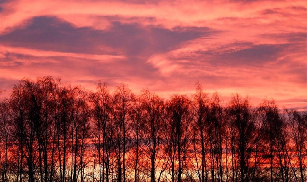 Ο ήλιος ανατέλλει & η φύση μας μαγεύει γεμάτη χρώματα στην Τούλα της Ρωσίας - Φωτογραφία: REUTERS / MAXIM SHEMETOV