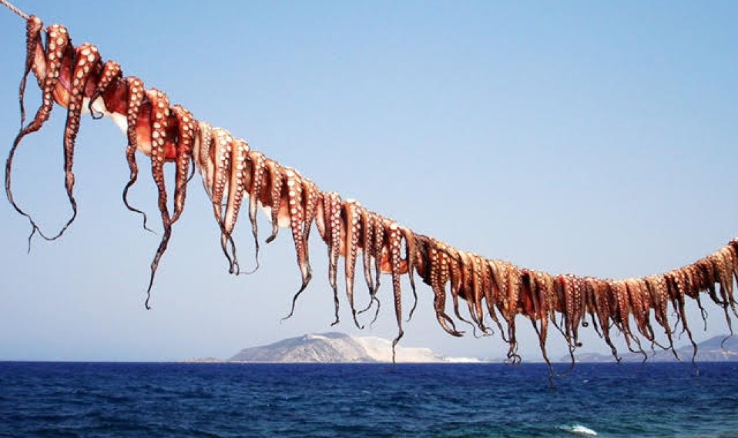 ΦΩΤΟ ΗΜΕΡΑΣ ΑΠΟ ΤΗΝ ΝΙΣΥΡΟ ΚΑΛΟ ΚΑΛΟΚΑΙΡΙ ΦΙΛΟΙ ΚΑΙ ΦΙΛΕΣ ΤΟΥ EIRINIKA 