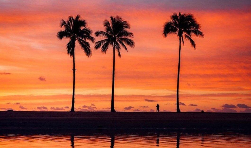 Φωτό ημέρας το ηλιοβασίλεμα και οι φοίνικες της Χαβάης - μα πόσο όμορφα χρώματα @vincelimphoto