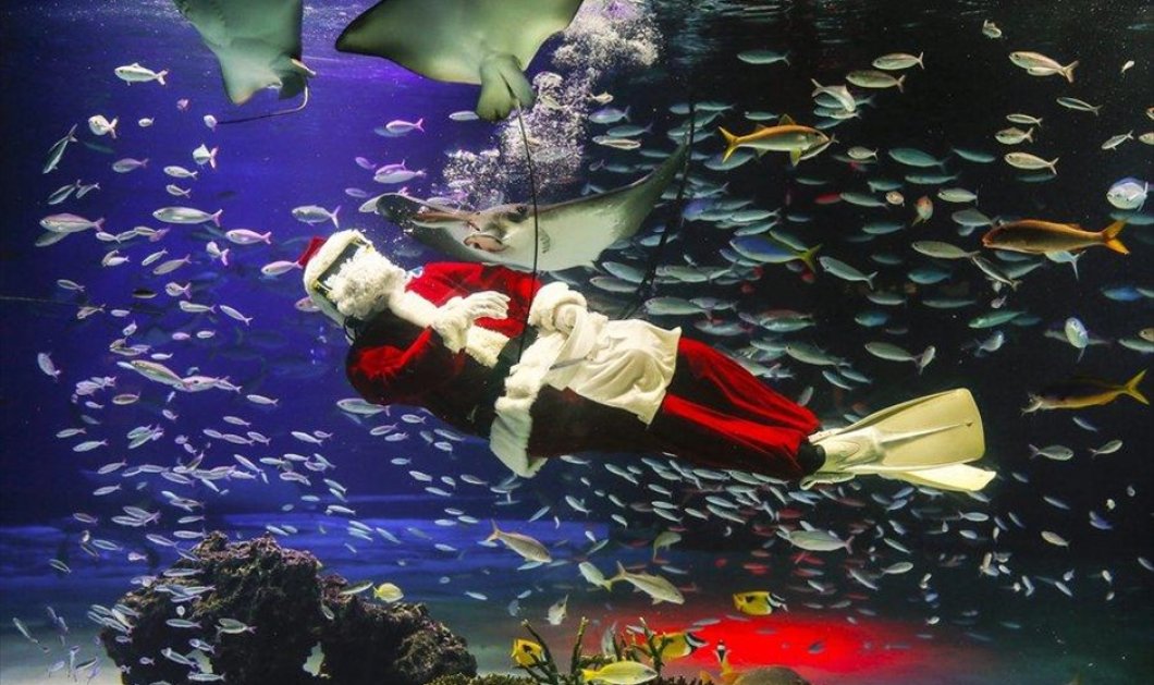Ένας δύτης ντυμένος Άγιος Βασίλης ταίζει τα ψάρια στο ενυδρείο του Τόκιο, στην Ιαπωνία - Picture: EPA / KIMIMASA MAYAMA