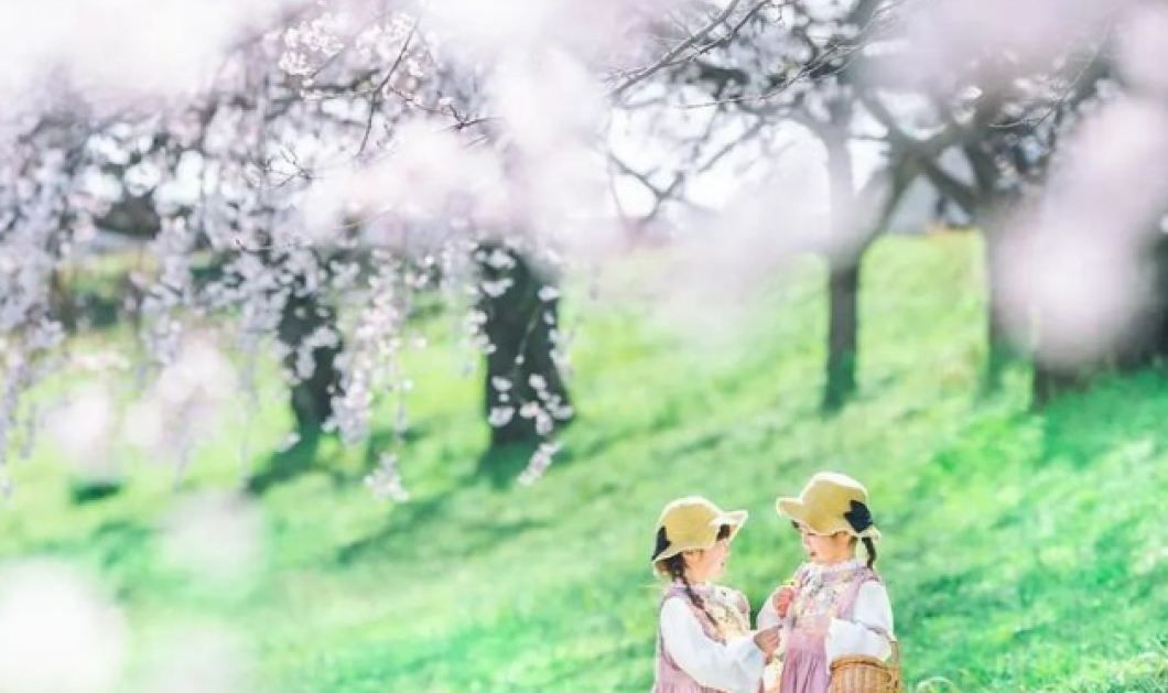 Φωτό ημέρας δύο πανέμορφα κοριτσάκια απολαμβάνουν πικ νικ στις ανθισμένες αμυγδαλιές της Ιαπωνίας @1019_coc