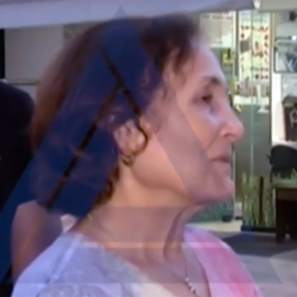 Γαλάτω Αλεξανδράκη: Εμφανίστηκε η άγνωστη ευρωβουλευτής της «Ελληνικής Λύσης» - «Μπήκα για να βοηθήσω, πώς έγινε αυτό;» (βίντεο)