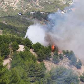 Μεγάλη φωτιά στις Καρυές Χίου: Μήνυμα 112 στους κατοίκους - Επιχειρούν εναέρια μέσα (φωτό-βίντεο)