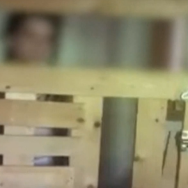 Σοκάρουν οι εικόνες 29χρονης κλεισμένη σε ξύλινο κλουβί: Αντιμετωπίζει σοβαρό ψυχοσωματικό νόσημα, λέει η μητέρα - Έκκληση για βοήθεια από την πολιτεία (βίντεο)