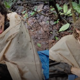 Αμερικανίδα βρέθηκε σκελετωμένη και αλυσοδεμένη σε δέντρο στη ζούγκλα της Ινδίας - Την είχε δέσει πριν 40 μέρες ο πρώην σύζυγός της - Πως σώθηκε (φωτό & βίντεο)