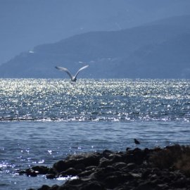 Καιρός: Μέχρι και 35 βαθμούς ο υδράργυρος σήμερα - Πτώση της θερμοκρασίας από την Κυριακή (βίντεο)