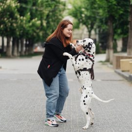 Τα 5 tips για να γίνει το τρέξιμο με το σκυλάκι σας παιχνιδάκι - Χωρίς να επιβαρυνθεί ο οργανισμός τους !