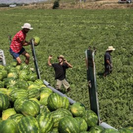 90.000 θέσεις εργασίας θα καλυφθούν από ξένους: Οι ανεπιθύμητες δουλειές για τους Έλληνες – Η Υπουργική απόφαση