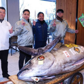 Τόκιο: Τόνος bluefin, 276 κιλών πουλήθηκε στην τιμή του 1,3 εκατ. δολαρίων - Η δεύτερη υψηλότερη στην αγορά Toyosu (φωτό & βίντεο)